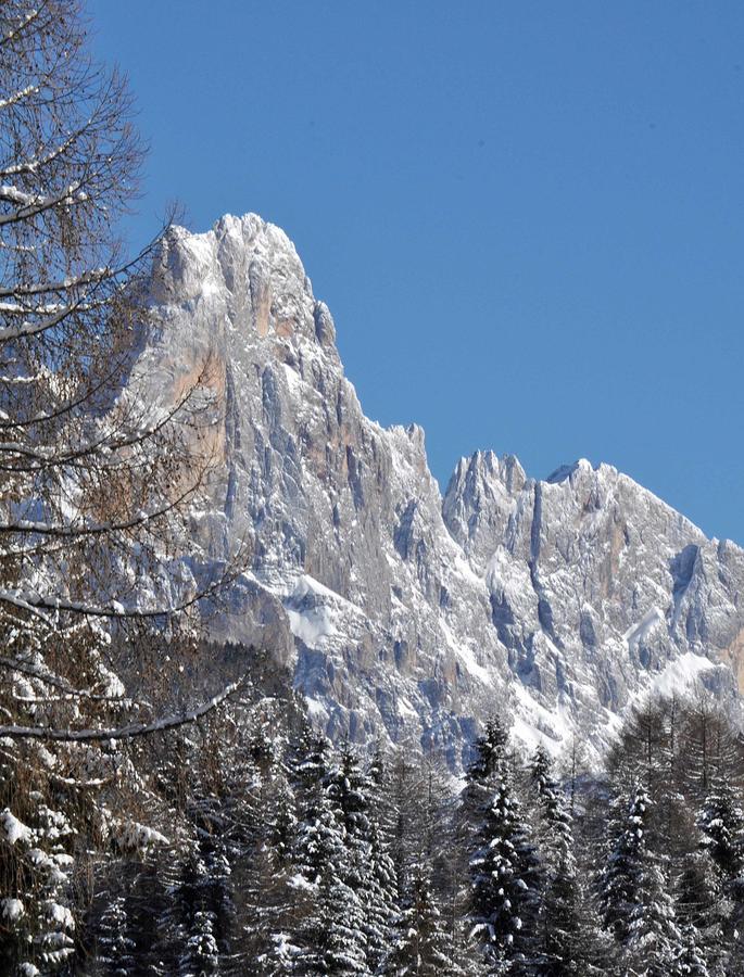 Albergo Antico Predazzo Esterno foto