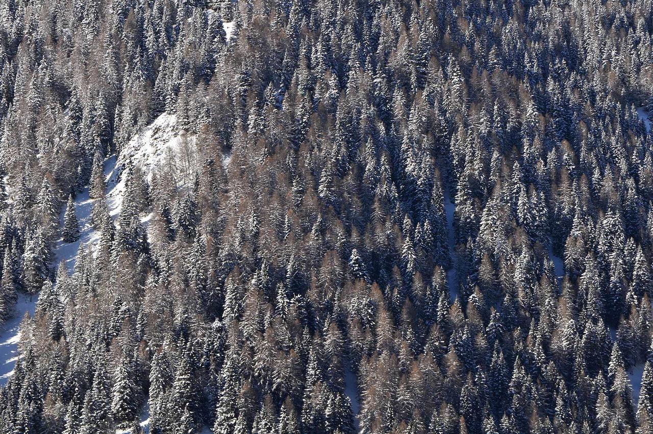 Albergo Antico Predazzo Esterno foto